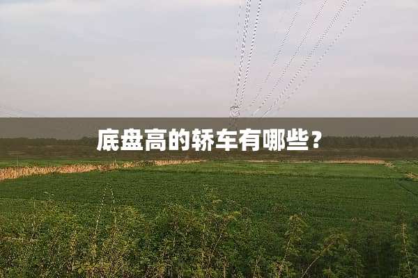 底盘高的轿车有哪些？