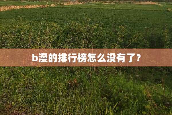 b漫的排行榜怎么没有了？
