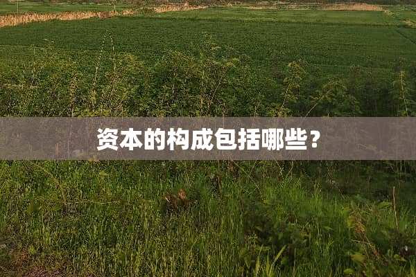 资本的构成包括哪些？