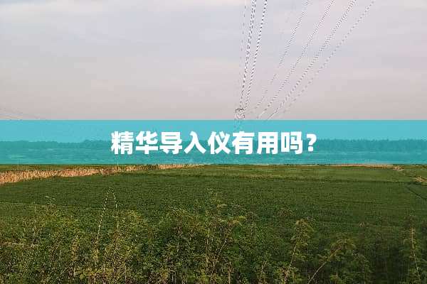 精华导入仪有用吗？