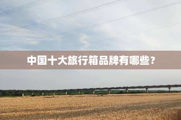 中国十大旅行箱品牌有哪些？