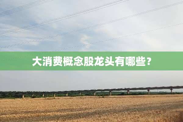 大消费概念股龙头有哪些？