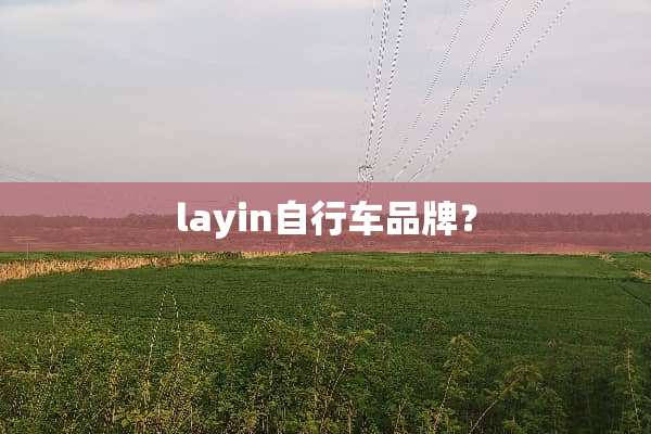layin自行车品牌？
