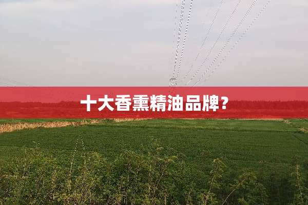十大香熏精油品牌？