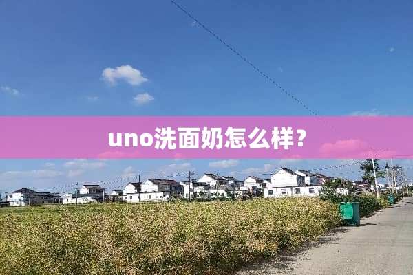 uno洗面奶怎么样？