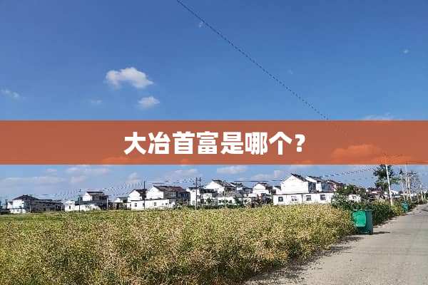大冶首富是哪个？