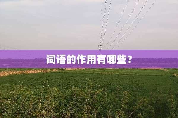 词语的作用有哪些？