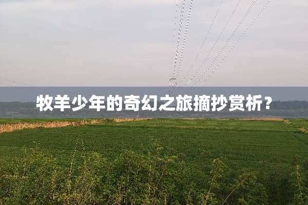牧羊少年的奇幻之旅摘抄赏析？