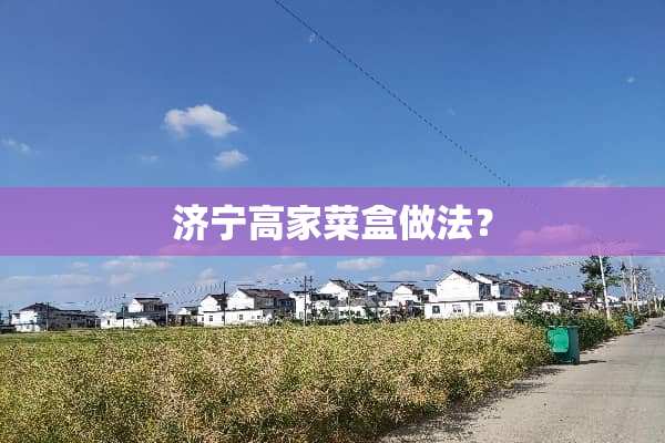 济宁高家菜盒做法？