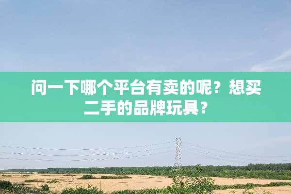 问一下哪个平台有卖的呢？想买二手的品牌玩具？