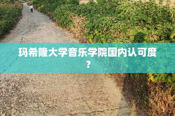 玛希隆大学音乐学院国内认可度？