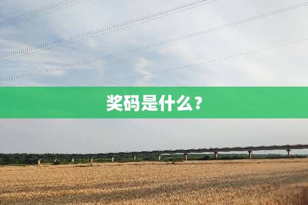 奖码是什么？