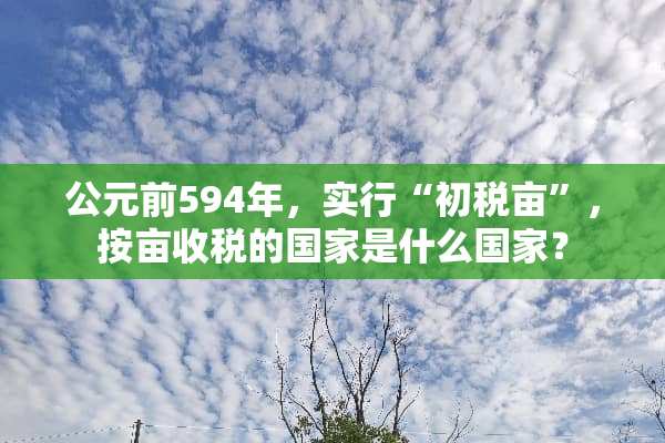 公元前594年，实行“初税亩”，按亩收税的国家是什么国家？