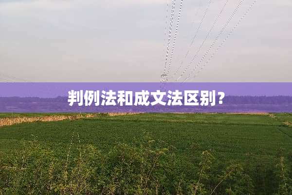判例法和成文法区别？