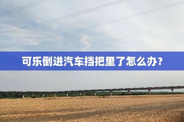 可乐倒进汽车挡把里了怎么办？