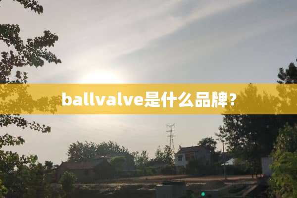 ballvalve是什么品牌？