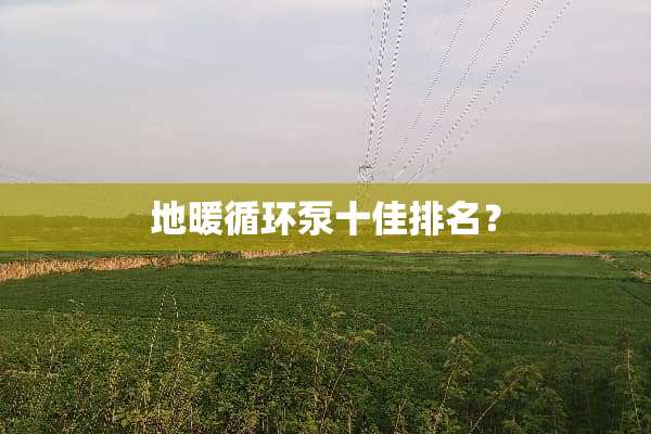 地暖循环泵十佳排名？