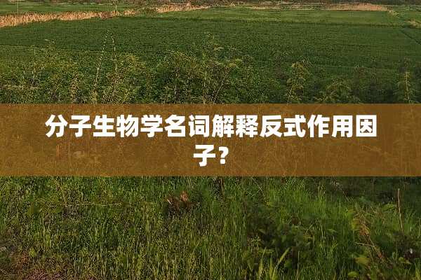 分子生物学名词解释反式作用因子？