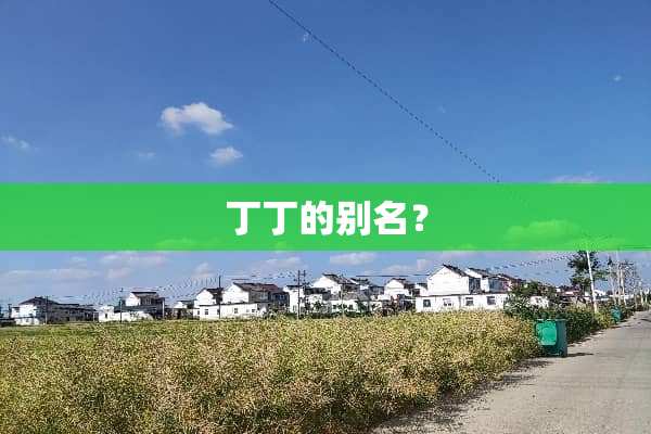 丁丁的别名？