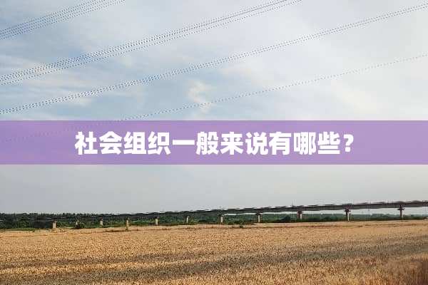 社会组织一般来说有哪些？