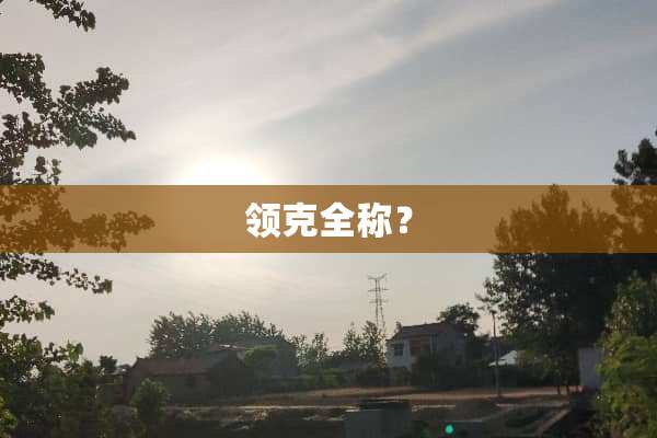 领克全称？