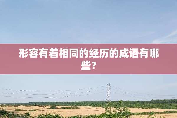 形容有着相同的经历的成语有哪些？