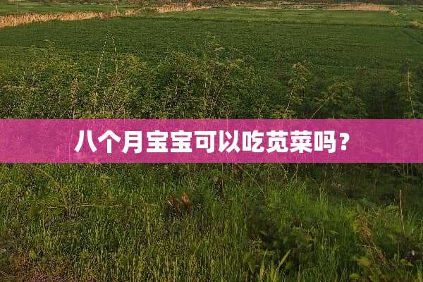 八个月宝宝可以吃苋菜吗？