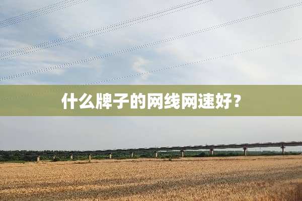 什么牌子的网线网速好？