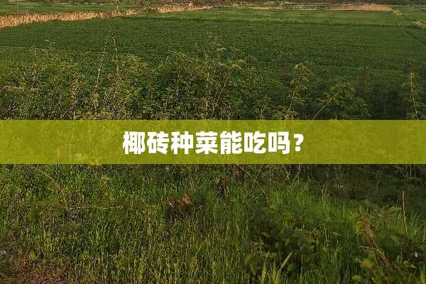 椰砖种菜能吃吗？
