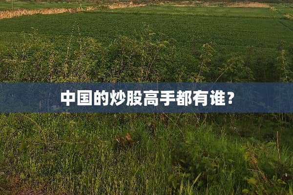 中国的炒股高手都有谁？