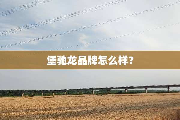 堡驰龙品牌怎么样？