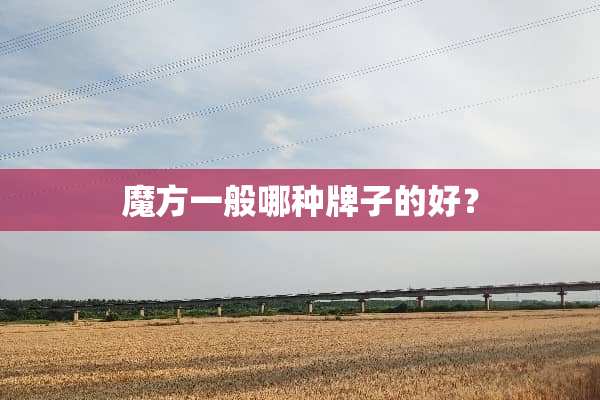 魔方一般哪种牌子的好？