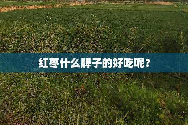 红枣什么牌子的好吃呢？