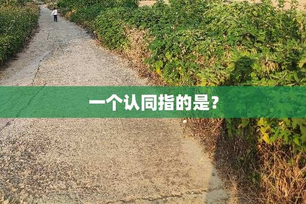 一个认同指的是？
