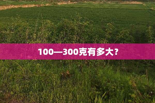 100—300克有多大？