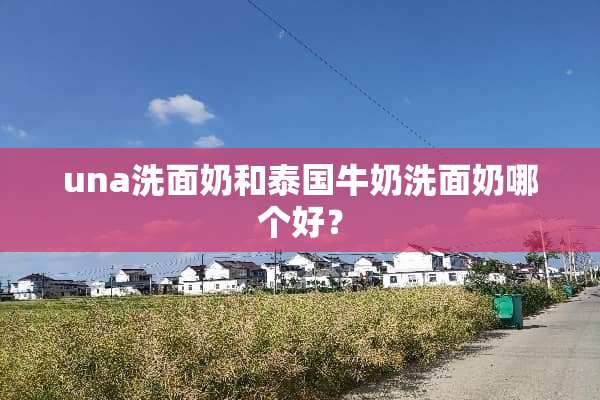 una洗面奶和泰国牛奶洗面奶哪个好？
