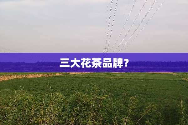 三大花茶品牌？