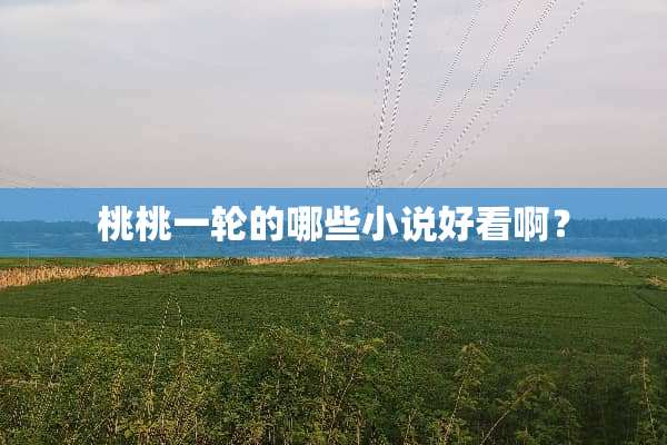 桃桃一轮的哪些小说好看啊？