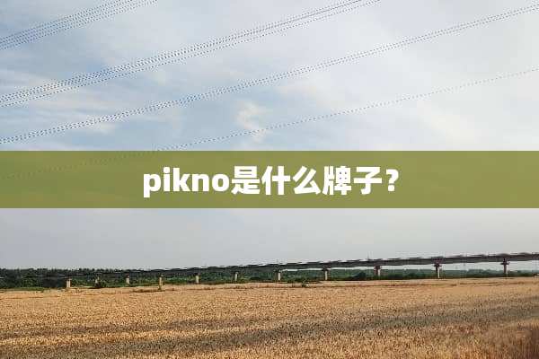 pikno是什么牌子？