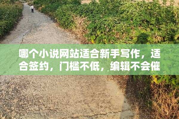 哪个小说网站适合新手写作，适合签约，门槛不低，编辑不会催更？