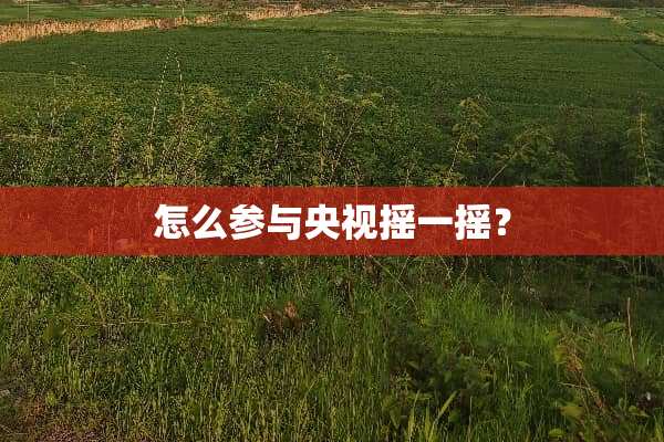 怎么参与央视摇一摇？