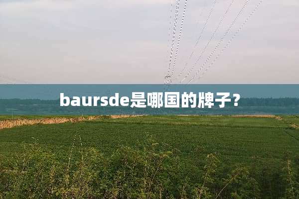 baursde是哪国的牌子？