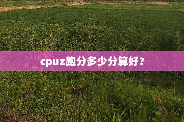cpuz跑分多少分算好？