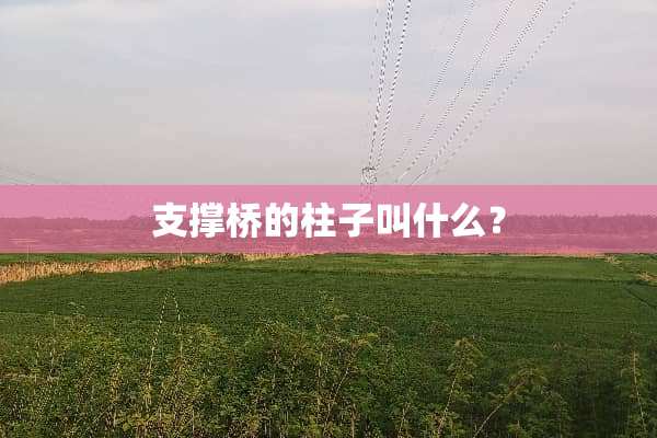 支撑桥的柱子叫什么？