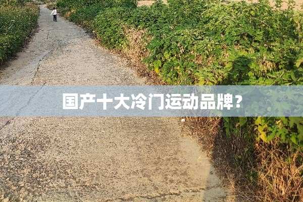 国产十大冷门运动品牌？
