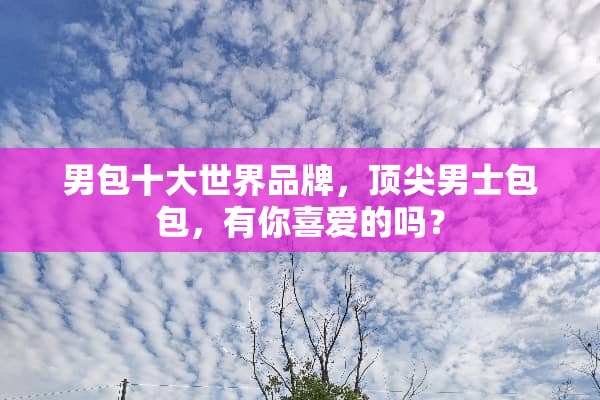 男包十大世界品牌，顶尖男士包包，有你喜爱的吗？
