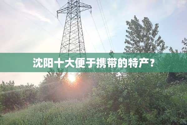 沈阳十大便于携带的特产？