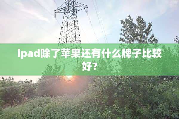 ipad除了苹果还有什么牌子比较好？