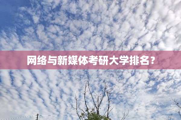网络与新媒体考研大学排名？