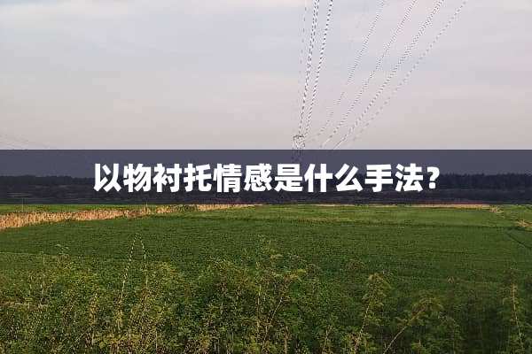 以物衬托情感是什么手法？